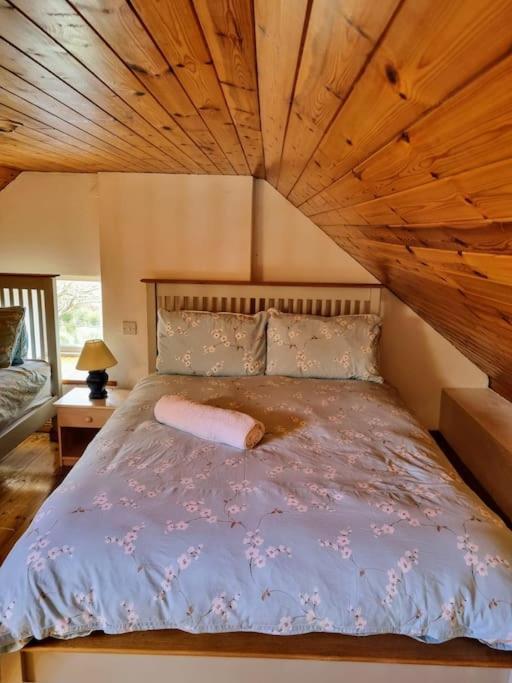 Cottage Skelligs Coast, Ring Of Kerry كاهيرسيفين المظهر الخارجي الصورة