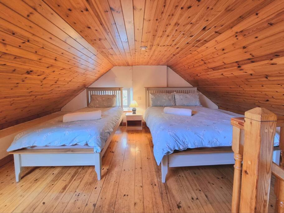Cottage Skelligs Coast, Ring Of Kerry كاهيرسيفين المظهر الخارجي الصورة