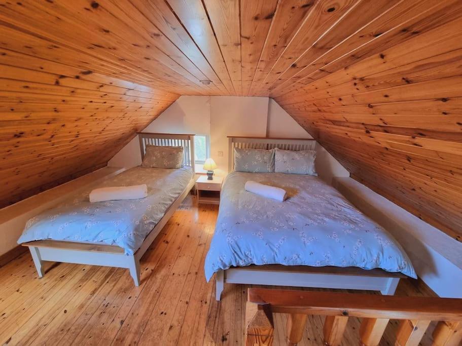 Cottage Skelligs Coast, Ring Of Kerry كاهيرسيفين المظهر الخارجي الصورة